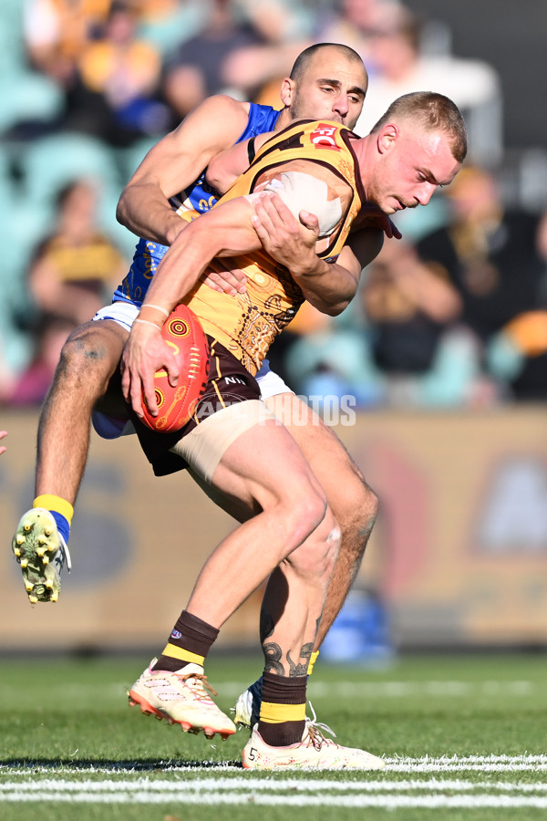 AFL 2023 Round 10 - Hawthorn v West Coast - A-38305888