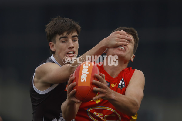 Coates Talent League Boys 2023 - GWV Rebels v Gold Coast - A-38305947