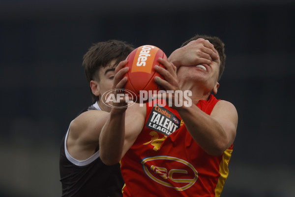 Coates Talent League Boys 2023 - GWV Rebels v Gold Coast - A-38305948