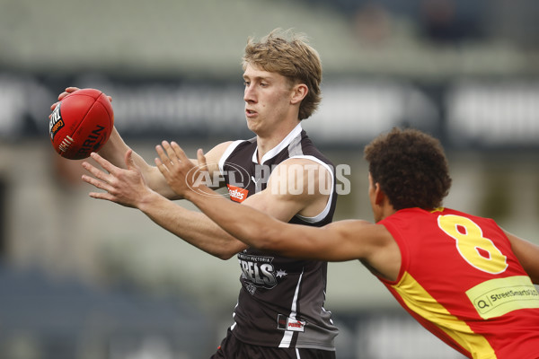 Coates Talent League Boys 2023 - GWV Rebels v Gold Coast - A-38308576