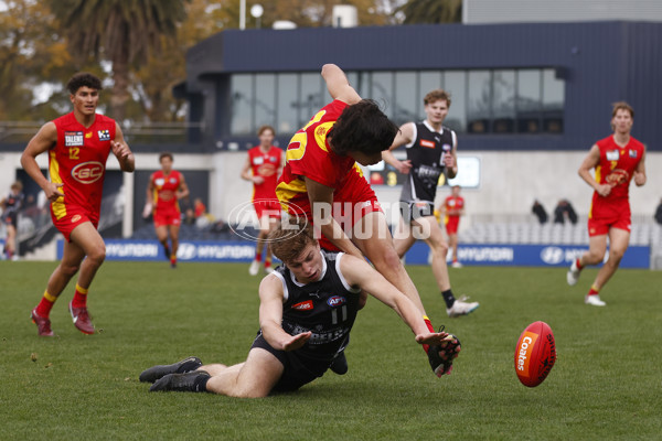 Coates Talent League Boys 2023 - GWV Rebels v Gold Coast - A-38309156