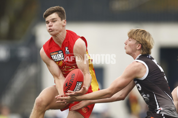 Coates Talent League Boys 2023 - GWV Rebels v Gold Coast - A-38309165