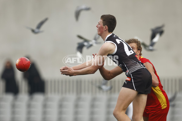 Coates Talent League Boys 2023 - GWV Rebels v Gold Coast - A-38309187