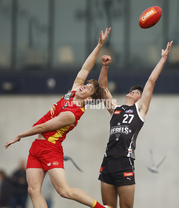 Coates Talent League Boys 2023 - GWV Rebels v Gold Coast - A-38309188