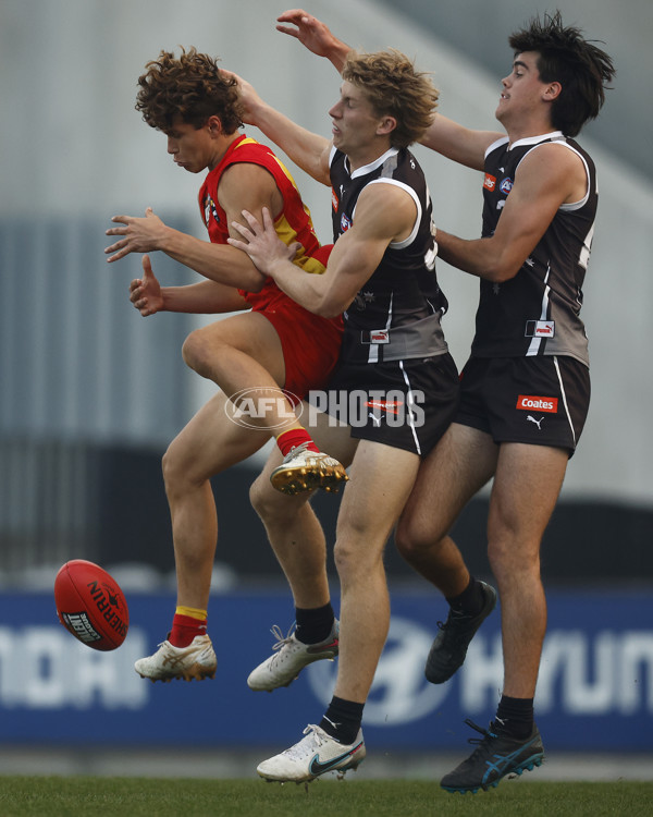 Coates Talent League Boys 2023 - GWV Rebels v Gold Coast - A-38315982