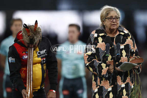 AFL 2023 Round 11 - St Kilda v Hawthorn - A-39104260