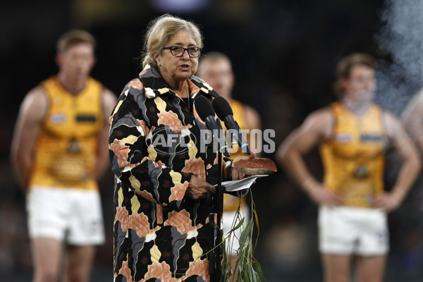 AFL 2023 Round 11 - St Kilda v Hawthorn - A-39104261