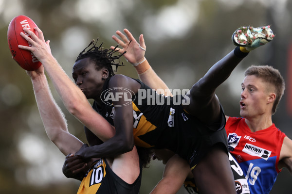 VFL 2023 Round 10 - Werribee v Casey - A-39153090