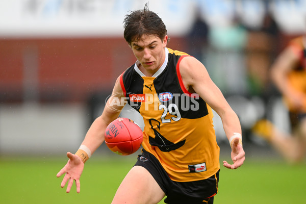 Coates Talent League Boys 2023 - Dandenong v Eastern Ranges - A-39238636