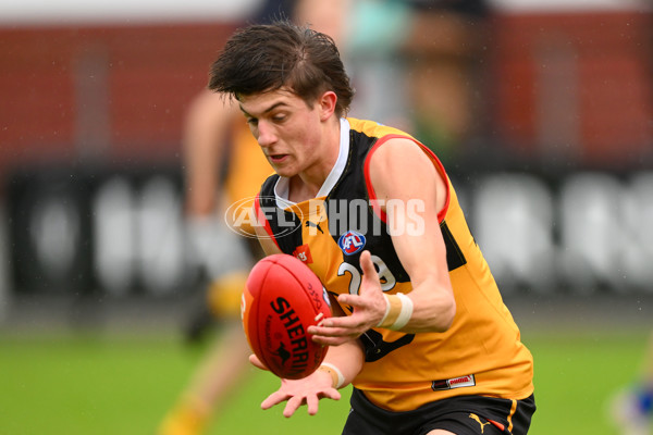 Coates Talent League Boys 2023 - Dandenong v Eastern Ranges - A-39238637