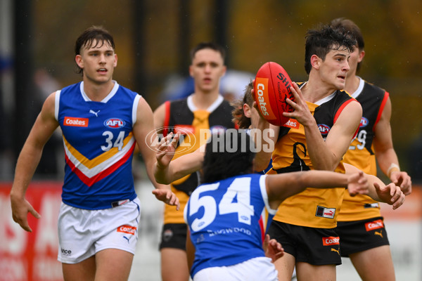 Coates Talent League Boys 2023 - Dandenong v Eastern Ranges - A-39238656