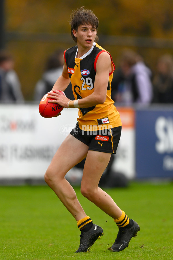 Coates Talent League Boys 2023 - Dandenong v Eastern Ranges - A-39238682