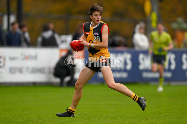 Coates Talent League Boys 2023 - Dandenong v Eastern Ranges - A-39239771