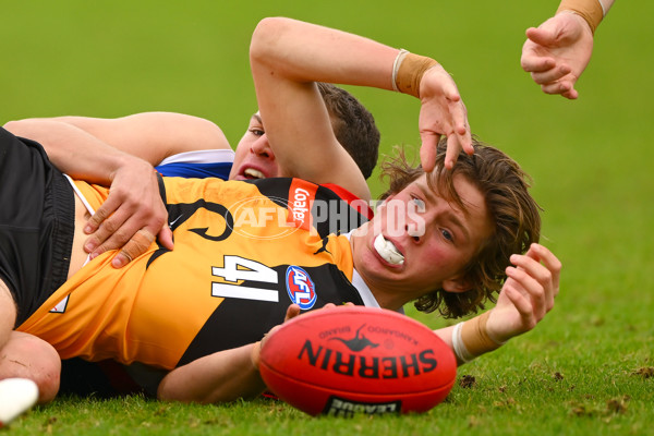 Coates Talent League Boys 2023 - Dandenong v Eastern Ranges - A-39304069