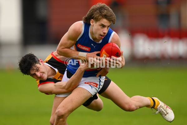 Coates Talent League Boys 2023 - Dandenong v Eastern Ranges - A-39304074