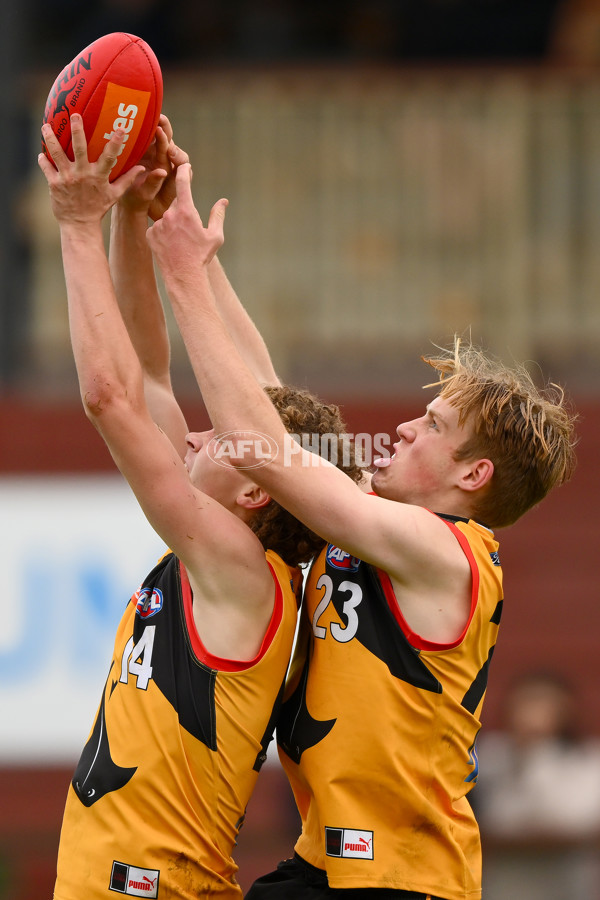 Coates Talent League Boys 2023 - Dandenong v Eastern Ranges - A-39304099