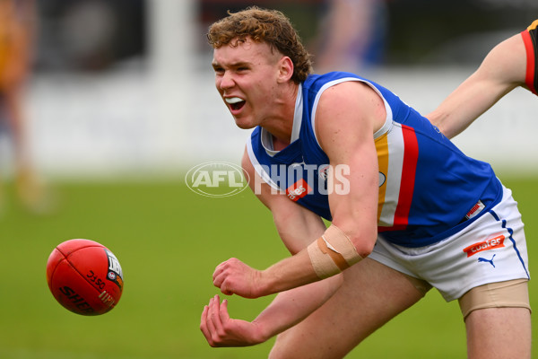 Coates Talent League Boys 2023 - Dandenong v Eastern Ranges - A-39304109