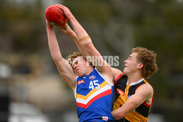 Coates Talent League Boys 2023 - Dandenong v Eastern Ranges - A-39304140