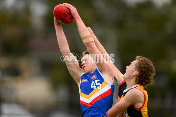 Coates Talent League Boys 2023 - Dandenong v Eastern Ranges - A-39304142