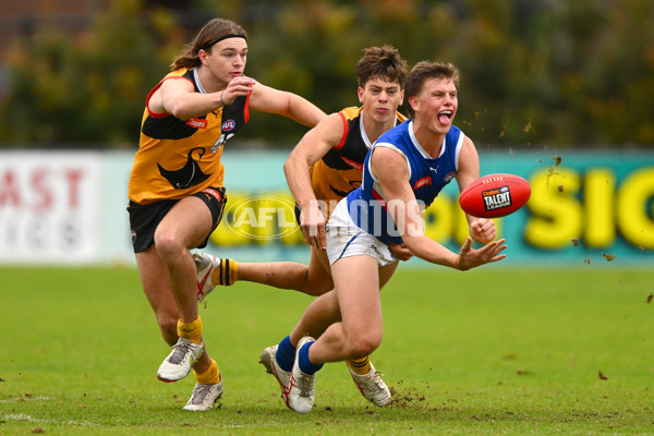 Coates Talent League Boys 2023 - Dandenong v Eastern Ranges - A-39304145