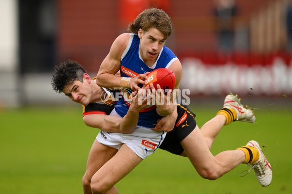 Coates Talent League Boys 2023 - Dandenong v Eastern Ranges - A-39304857