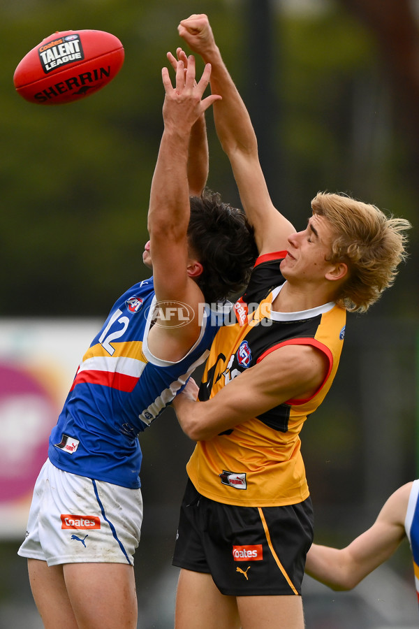 Coates Talent League Boys 2023 - Dandenong v Eastern Ranges - A-39304892