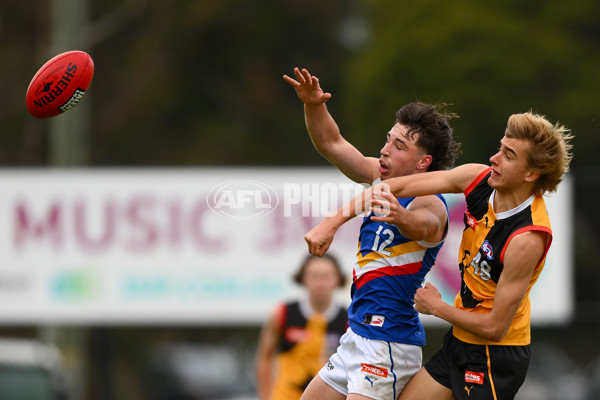 Coates Talent League Boys 2023 - Dandenong v Eastern Ranges - A-39304899