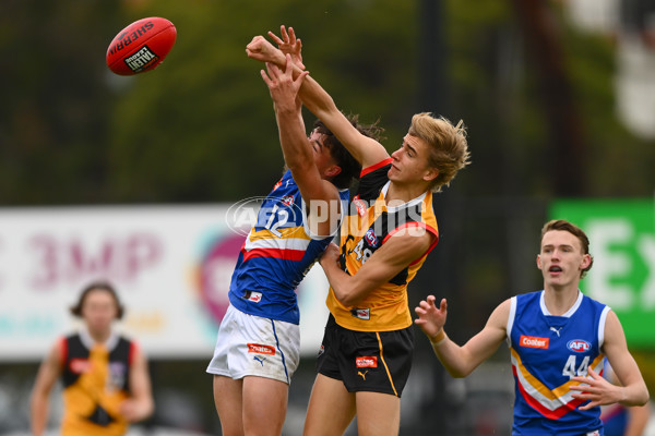 Coates Talent League Boys 2023 - Dandenong v Eastern Ranges - A-39304903