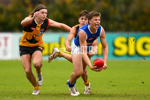 Coates Talent League Boys 2023 - Dandenong v Eastern Ranges - A-39304928