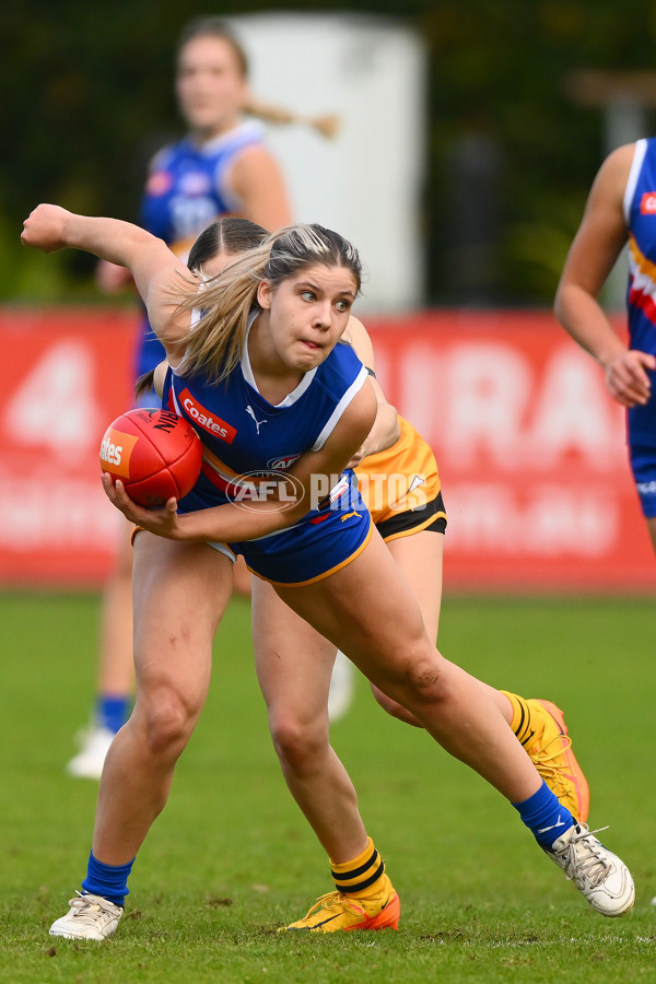 Coates Talent League Girls 2023 - Dandenong v Eastern Ranges - A-39309754