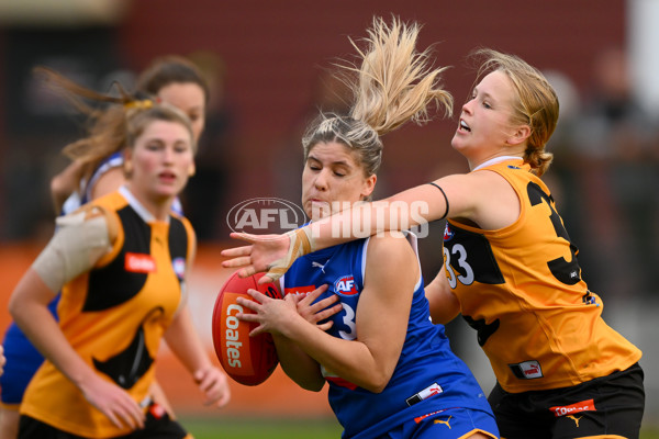 Coates Talent League Girls 2023 - Dandenong v Eastern Ranges - A-39314824