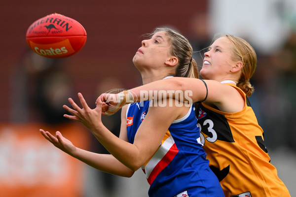 Coates Talent League Girls 2023 - Dandenong v Eastern Ranges - A-39314827