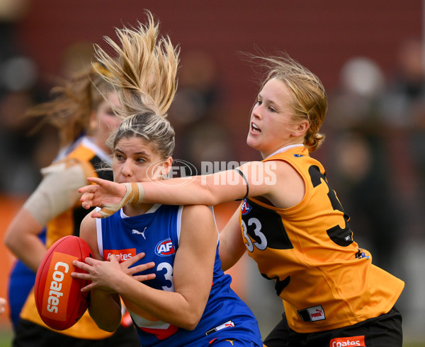 Coates Talent League Girls 2023 - Dandenong v Eastern Ranges - A-39314828