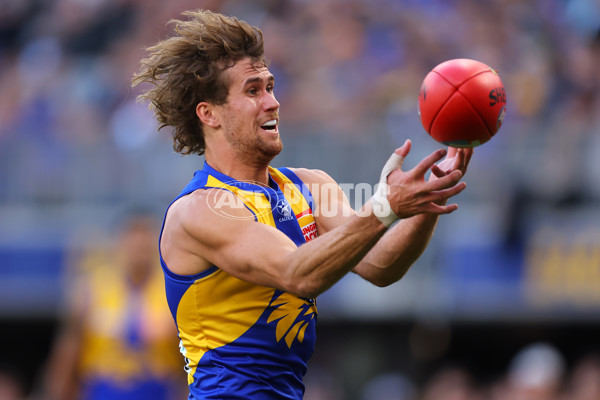 AFL 2023 Round 12 - West Coast v Collingwood - A-39578395