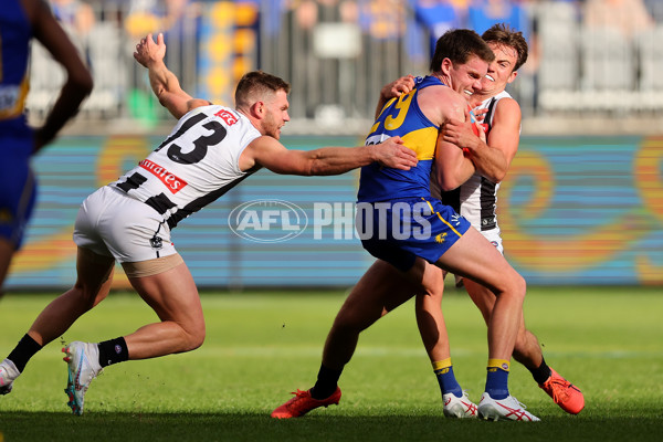 AFL 2023 Round 12 - West Coast v Collingwood - A-39578465