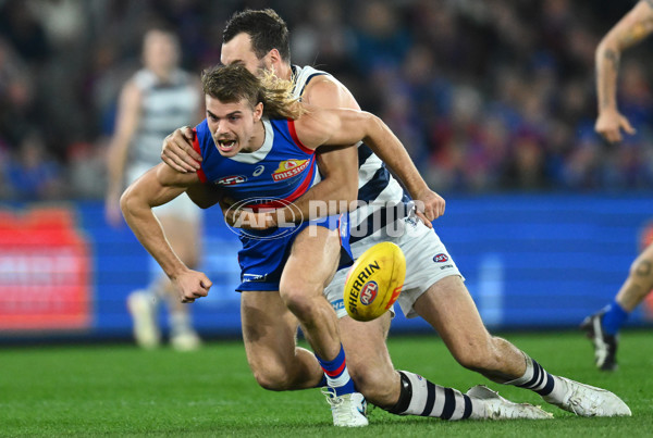 AFL 2023 Round 12 - Western Bulldogs v Geelong - A-39592897