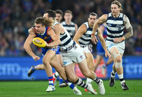 AFL 2023 Round 12 - Western Bulldogs v Geelong - A-39594012