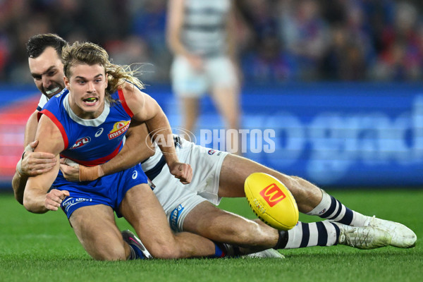 AFL 2023 Round 12 - Western Bulldogs v Geelong - A-39596189