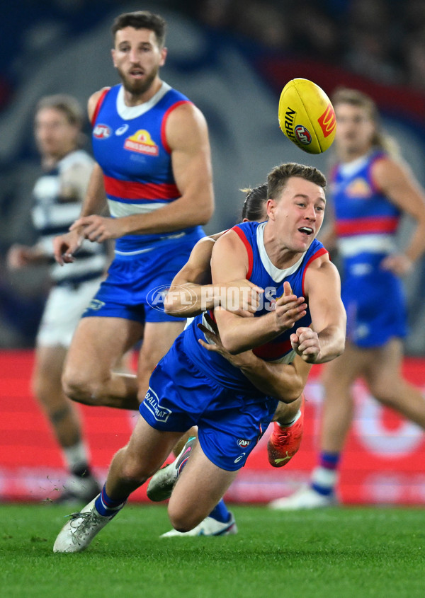 AFL 2023 Round 12 - Western Bulldogs v Geelong - A-39599196