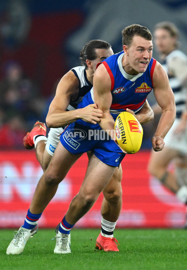 AFL 2023 Round 12 - Western Bulldogs v Geelong - A-39599197