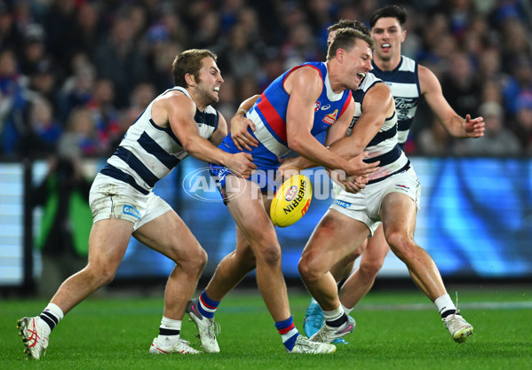 AFL 2023 Round 12 - Western Bulldogs v Geelong - A-39599255