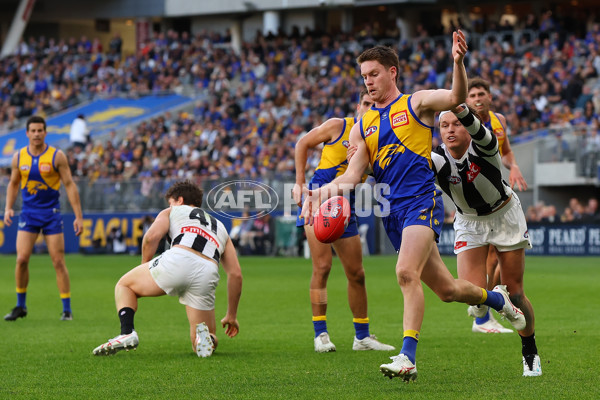 AFL 2023 Round 12 - West Coast v Collingwood - A-39601963