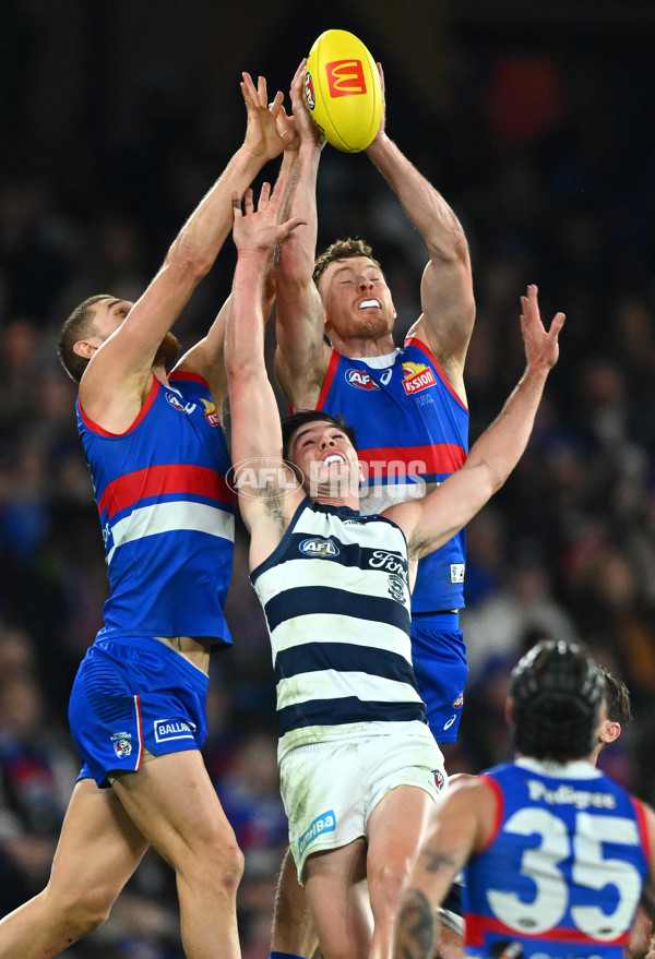 AFL 2023 Round 12 - Western Bulldogs v Geelong - A-39603707