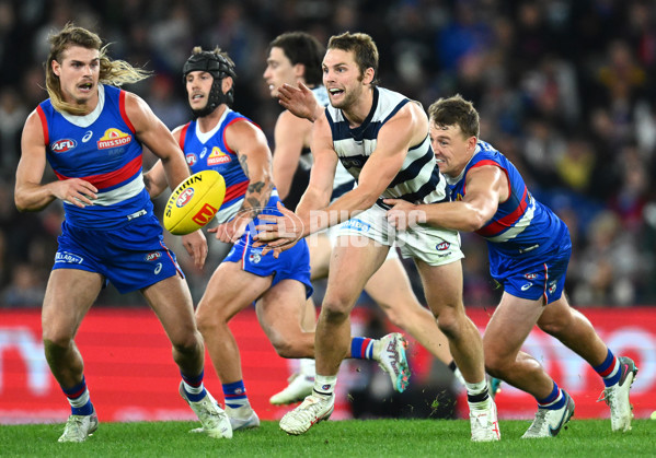 AFL 2023 Round 12 - Western Bulldogs v Geelong - A-39604775