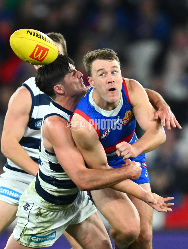 AFL 2023 Round 12 - Western Bulldogs v Geelong - A-39604780