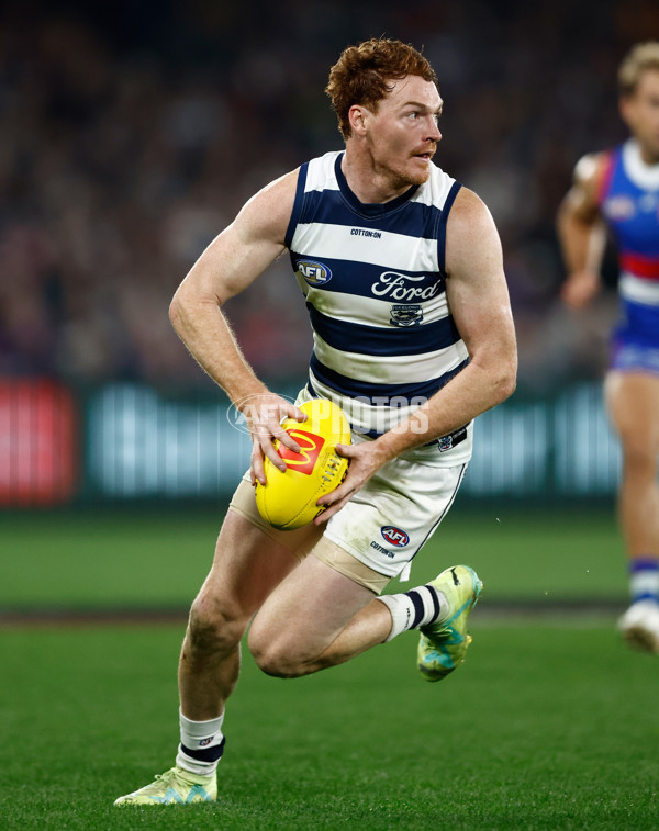 AFL 2023 Round 12 - Western Bulldogs v Geelong - A-39604786