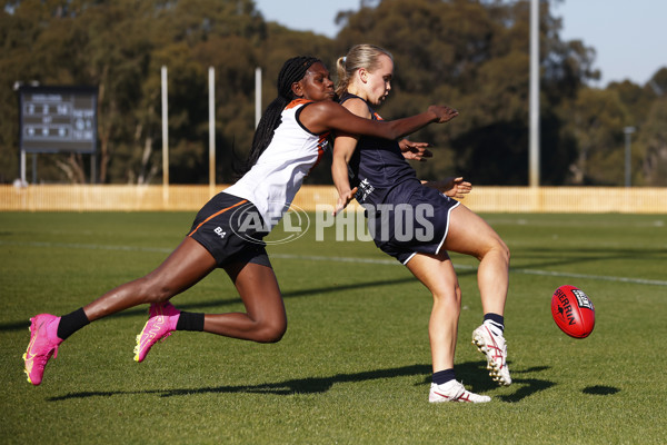 Coates Talent League Girls 2023 - Geelong v Northern Territory - A-39615116