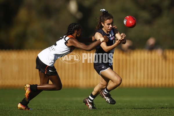 Coates Talent League Girls 2023 - Geelong v Northern Territory - A-39617652