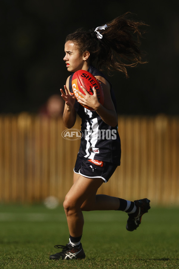 Coates Talent League Girls 2023 - Geelong v Northern Territory - A-39618535