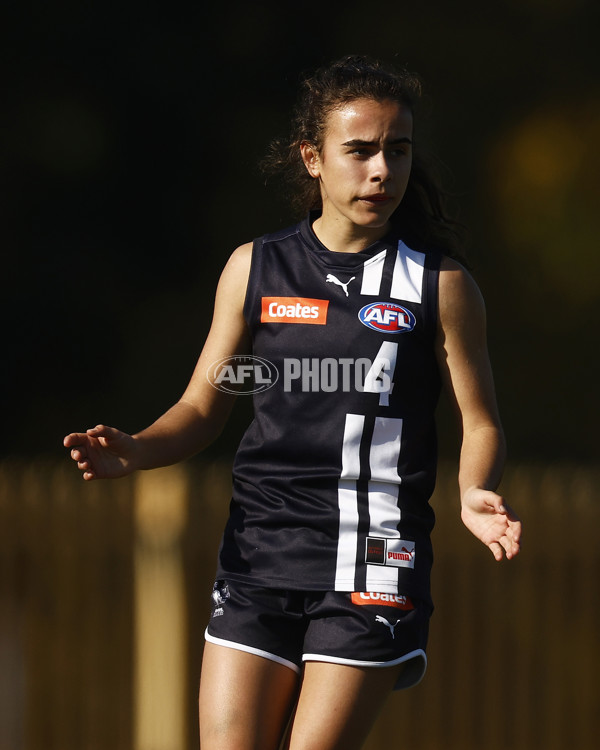 Coates Talent League Girls 2023 - Geelong v Northern Territory - A-39620684